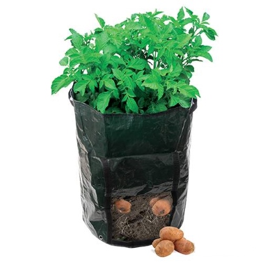 Potato planting bag 360x510mm 4.99
